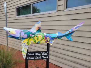 Eliza Midgett shark at the Brannon Center