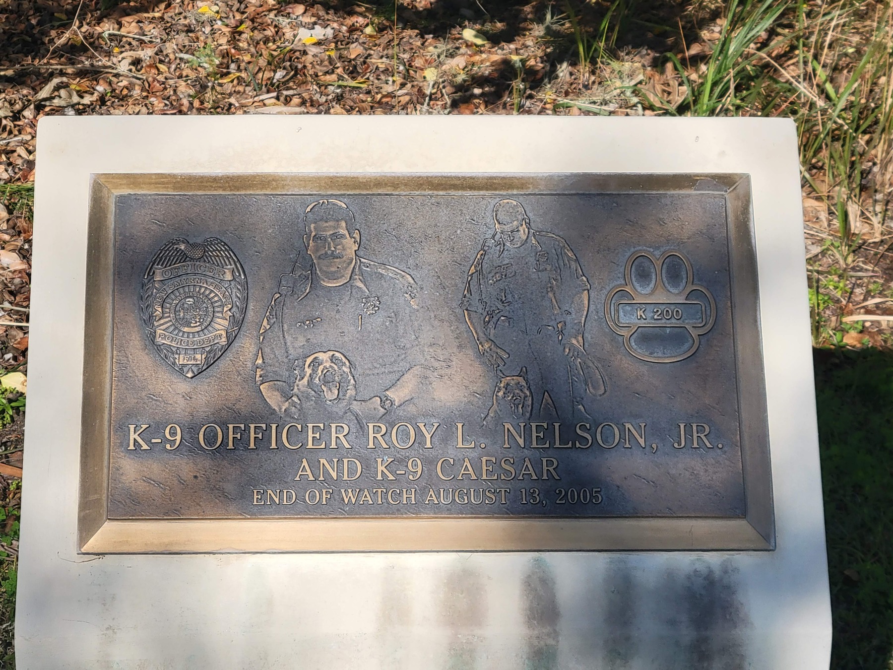 Roy Nelson New Smyrna Beach Police Officer In Memory