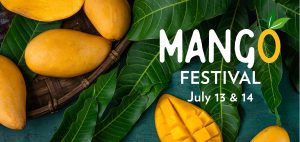 Best events and festivals in Florida July 2024 Mango Festival in Coral Gables