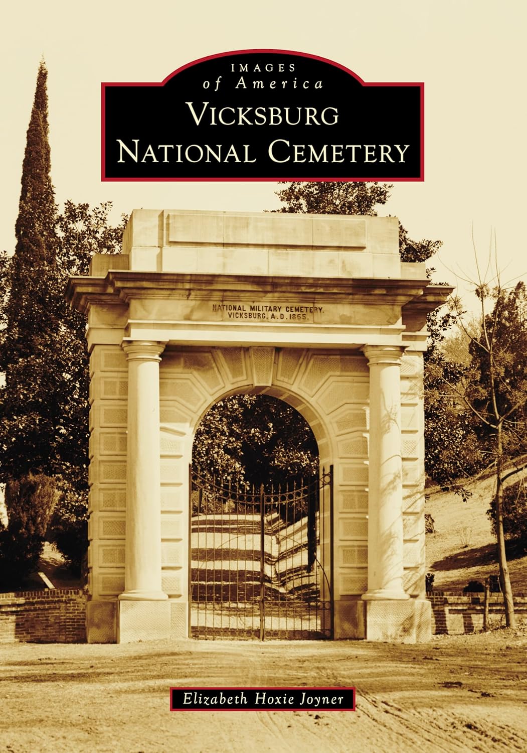 Vicksburg National Cemetery book review