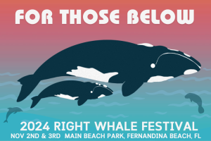 Right Whale Festival November 2 and 3. Fernandina Beach, ,FL